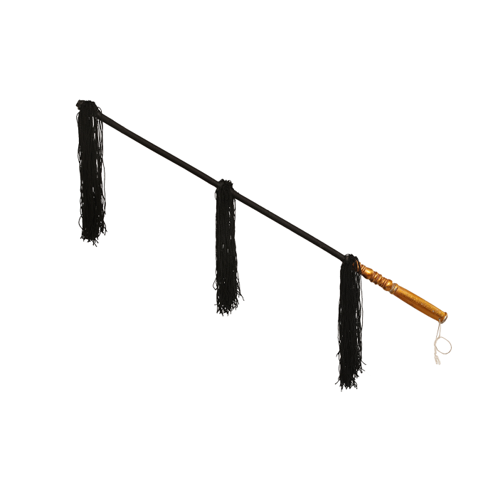   黑三穗马鞭